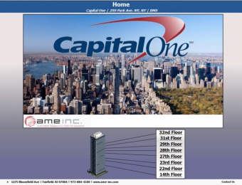 CapitalOne_Graphics-4